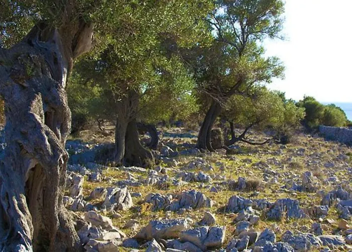 Charming Seaside House *