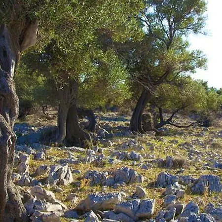 Charming Seaside House *