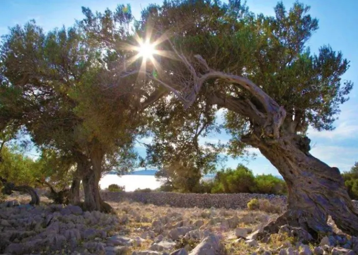 וילה Charming Seaside House